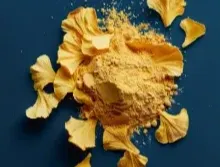 Ginkgo Biloba Powder